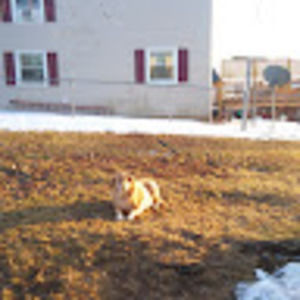 Meet your Posher, Lashell